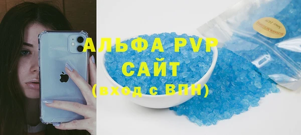 гашик Новозыбков