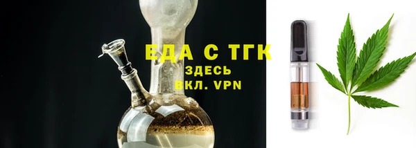 гашик Новозыбков