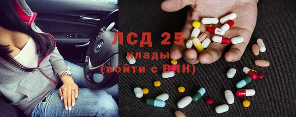 ГАЛЛЮЦИНОГЕННЫЕ ГРИБЫ Новодвинск