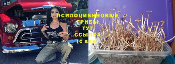 гашик Новозыбков