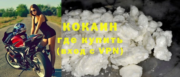 гашик Новозыбков