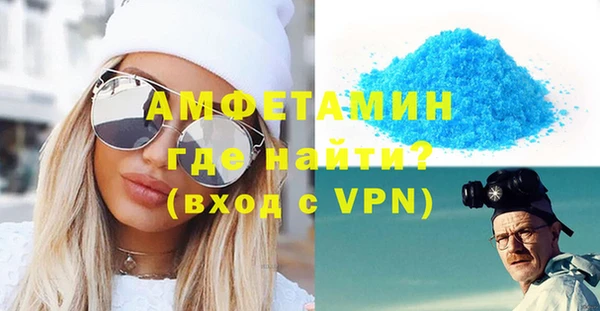 гашик Новозыбков