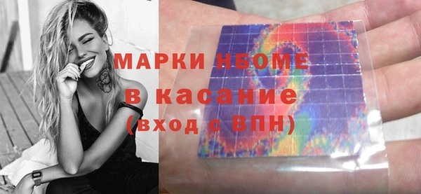 гашик Новозыбков