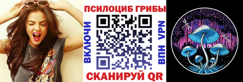 Псилоцибиновые грибы MAGIC MUSHROOMS MEGA ССЫЛКА Закаменск